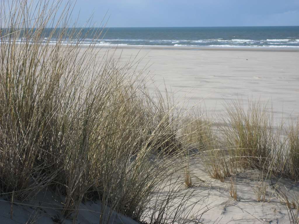 Ringhotel Residenz Wittmund Bagian luar foto